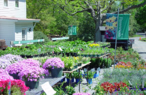 Spring Valley Nurseries | Landscape Design and Nursery Doylestown, Pa.